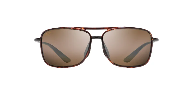 Tortoise|Hcl Bronze - Polarized