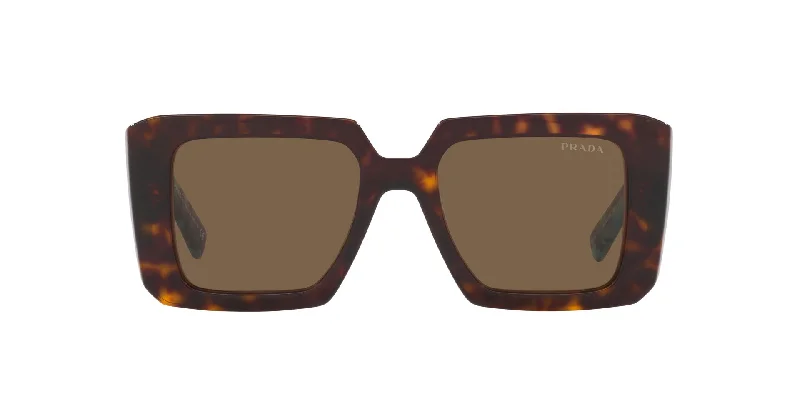 Tortoise | Dark Brown