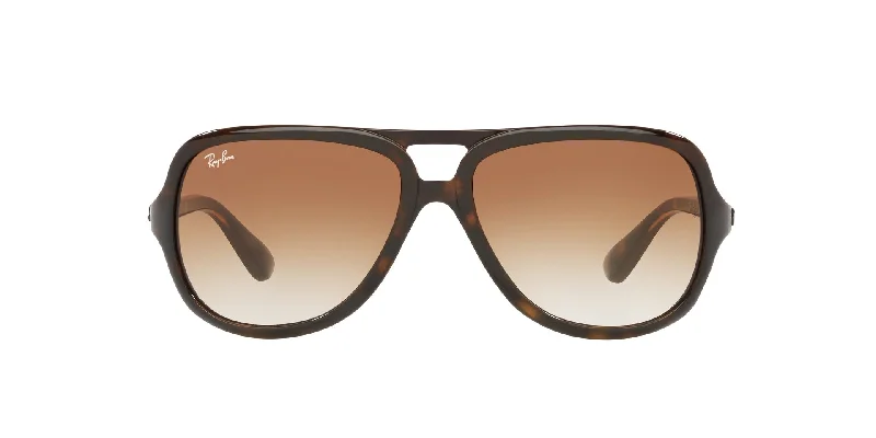 sunglasses for winter echoes -  Rb4162 Ray Ban Sunglasses