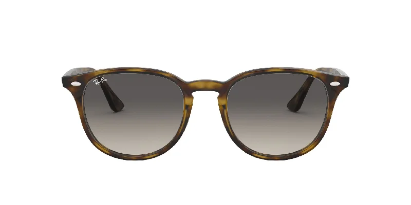 sunglasses with frosty rolls -  Rb4259 Ray Ban Sunglasses