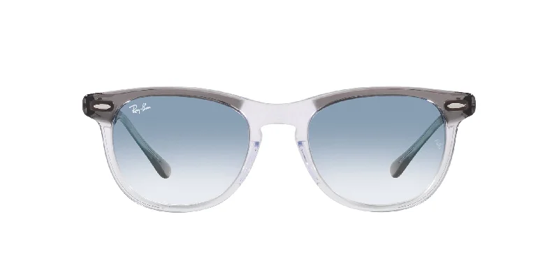 sunglasses with icy groups -  Eagleeye RB2398 Ray Ban Sunglasses