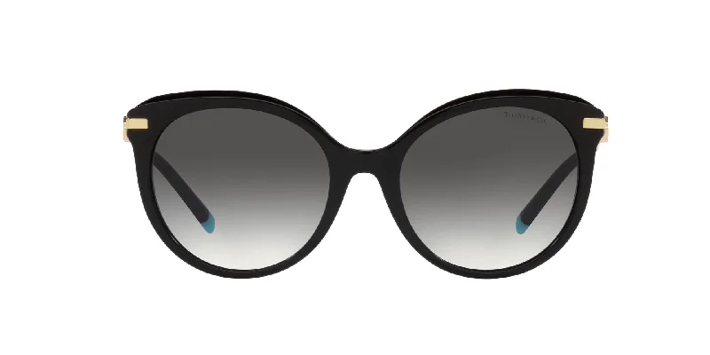 sunglasses for snowy notches -  Tf4189b Tiffany & Co. Sunglasses