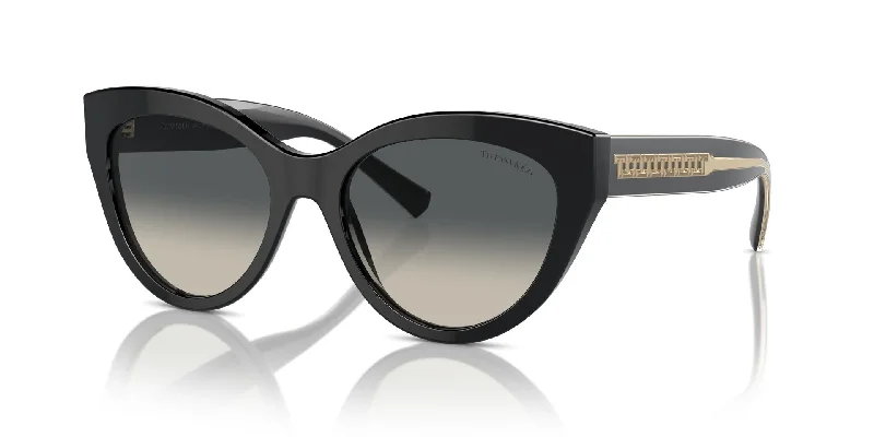 sunglasses for snowy partners -  Tiffany TF4220