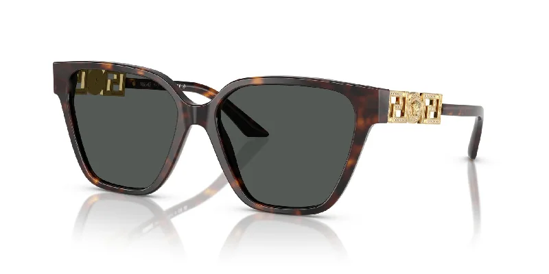 sunglasses for snowy rivals -  Versace VE4471B