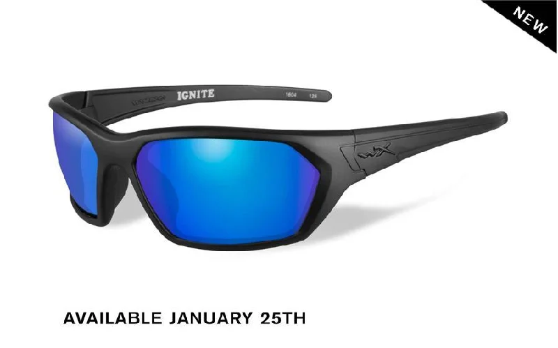 sunglasses for snowy gangs -  Wiley X Ignite Sunglasses